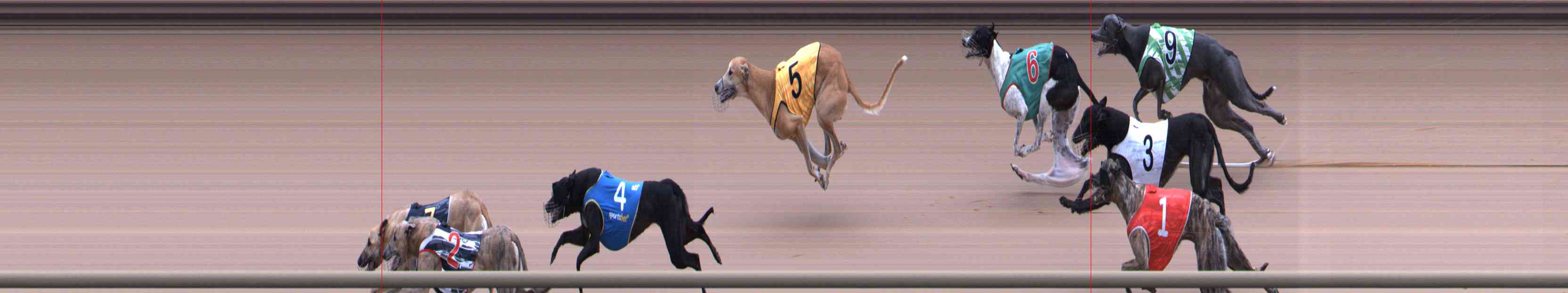 Race result finish photo